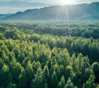Nature Landscape 2|自然 2-1 Nature Landscape 2|自然 2-1